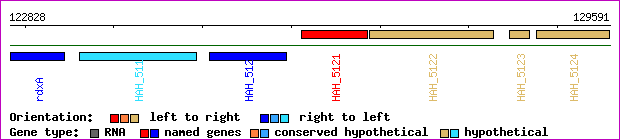 gene map