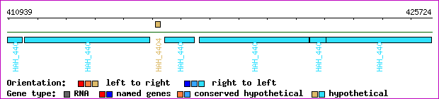 gene map