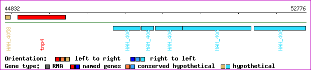 gene map
