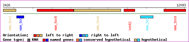 gene map