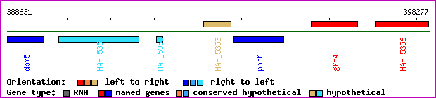 gene map