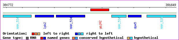 gene map