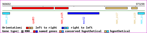 gene map