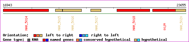 gene map