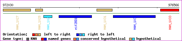 gene map