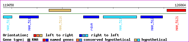gene map
