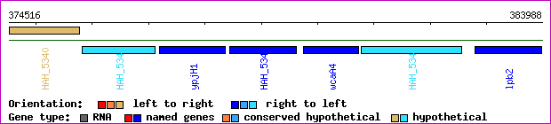 gene map