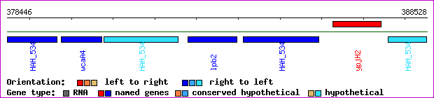 gene map
