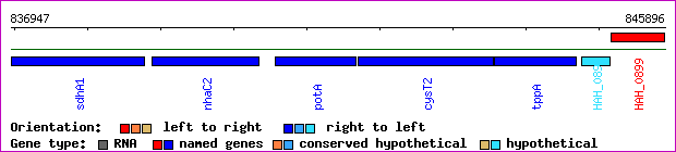 gene map