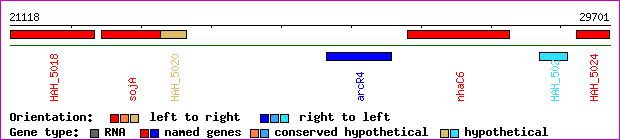 gene map