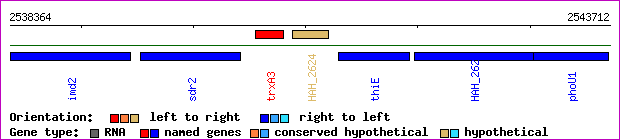 gene map