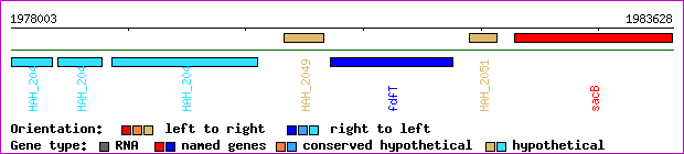 gene map