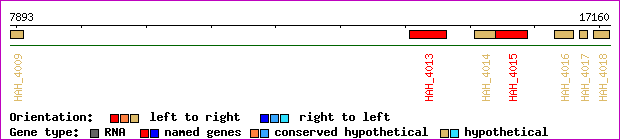 gene map