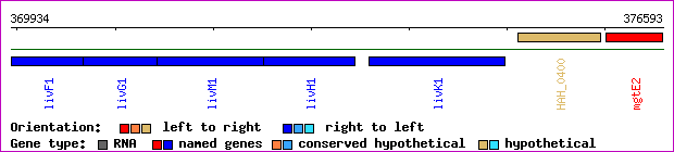 gene map