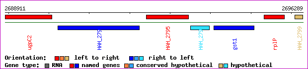 gene map