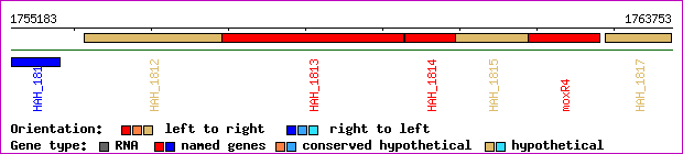 gene map