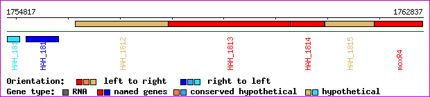 gene map