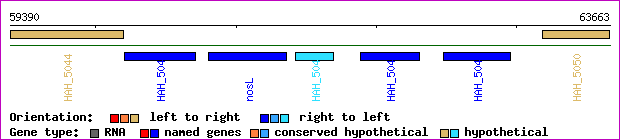 gene map