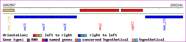 gene map
