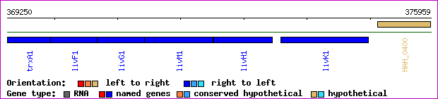 gene map