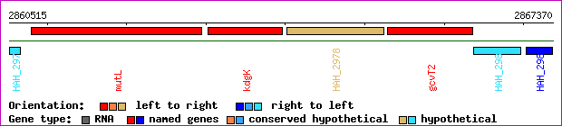 gene map