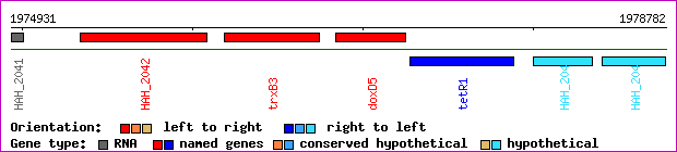 gene map