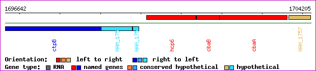 gene map