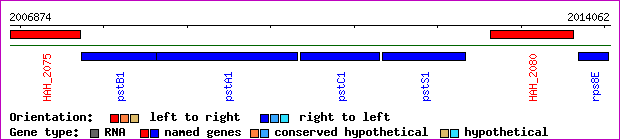 gene map