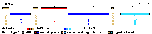 gene map