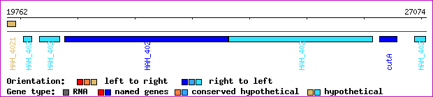 gene map