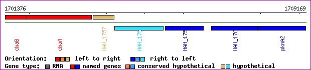 gene map