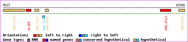 gene map