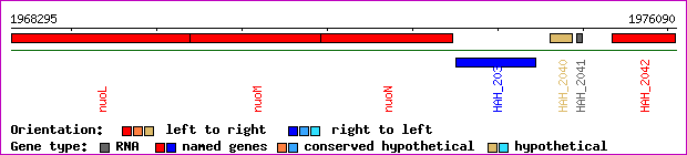 gene map
