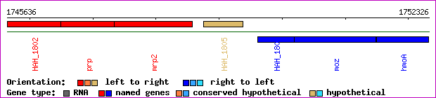 gene map