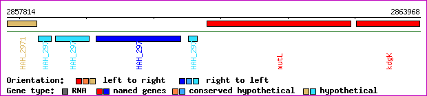 gene map