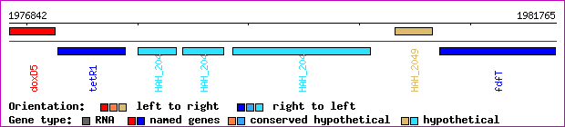 gene map