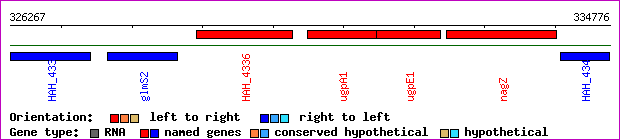 gene map