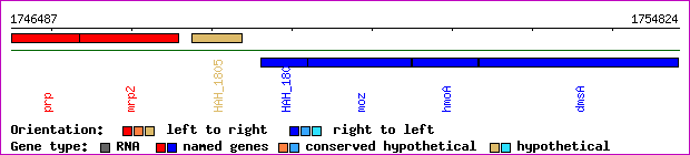 gene map