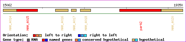 gene map