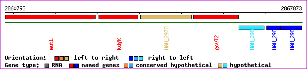 gene map