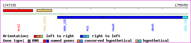 gene map