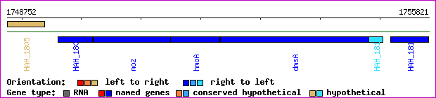 gene map