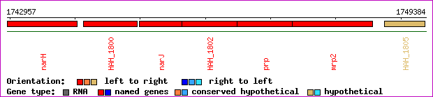 gene map