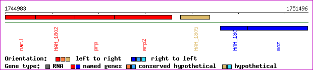 gene map