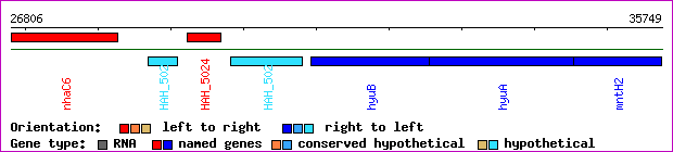 gene map