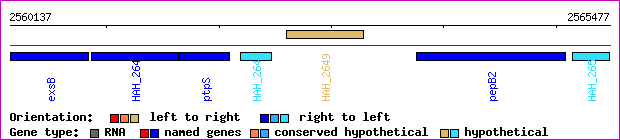 gene map
