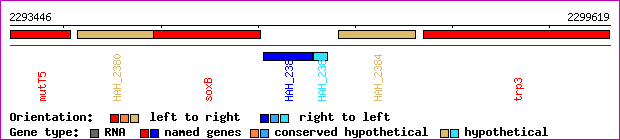 gene map