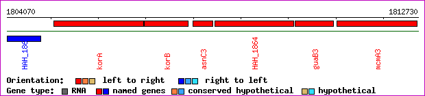 gene map