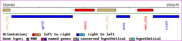 gene map