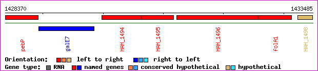 gene map